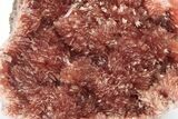 Fibrous, Rose-Red Inesite Crystal Aggregation - South Africa #210757-1